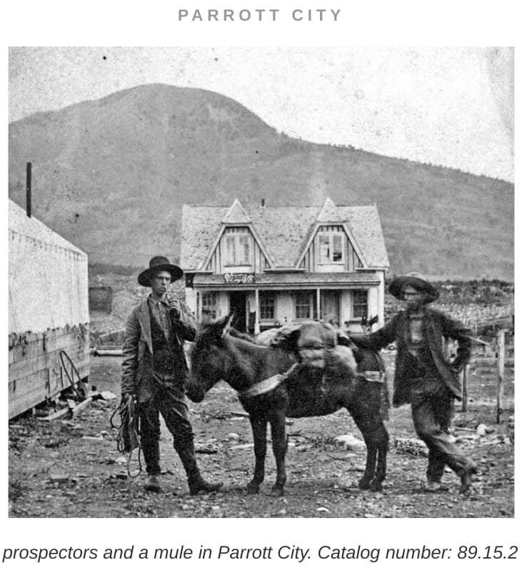 Parrot City Prospectors Lost Treasure Legends Colorado